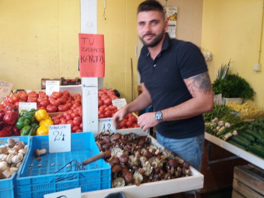 Gdzie są grzyby? Grzybiarze zacierają ręce... W lasach jest mnóstwo okazów, niestety większość robaczywa ZDJĘCIA 