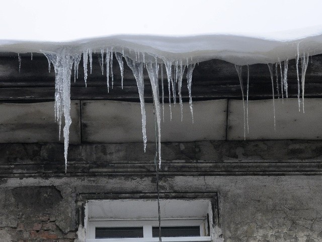 W dwa dni śnieg dokumentnie zasypał Bydgoszcz