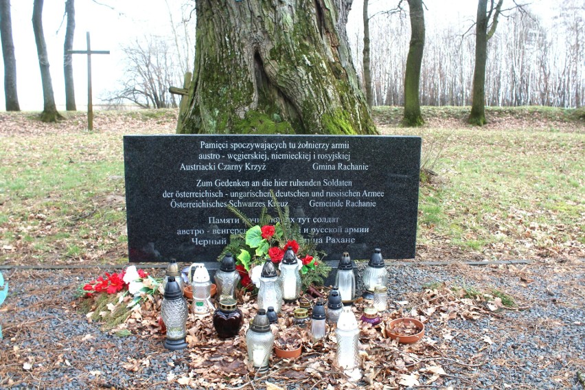 Dąb Maksymilian w Pawłówce, cmentarz z I wojny i okolice