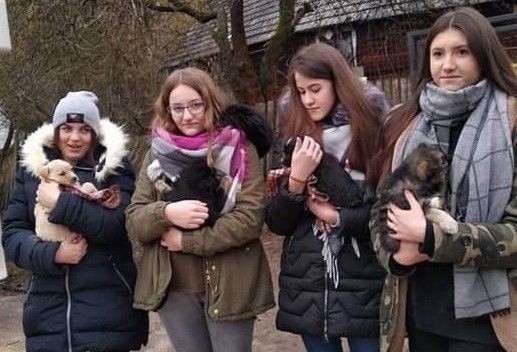 Młodzież z gminy Łopuszno zebrała 150 kilogramów karmy dla zwierząt