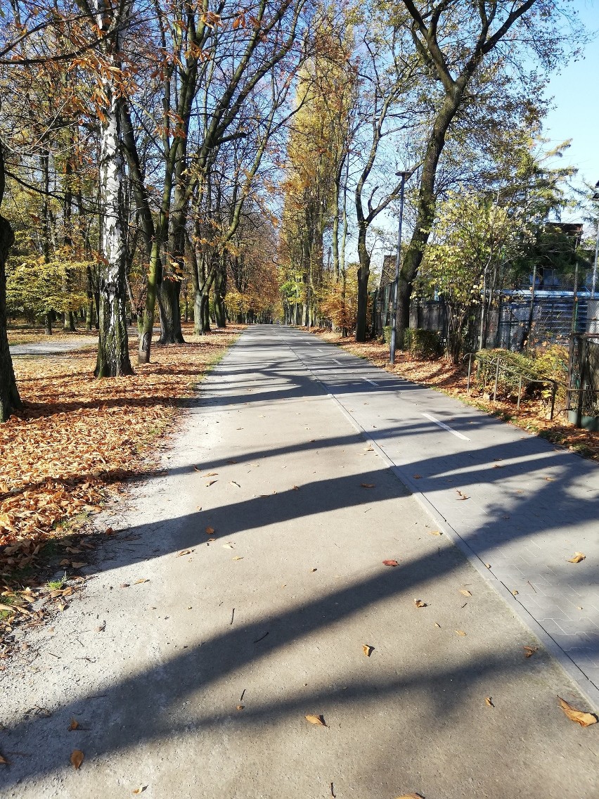 Park miejski w Bytomiu zachwyca jesienną porą. W taką pogodę...