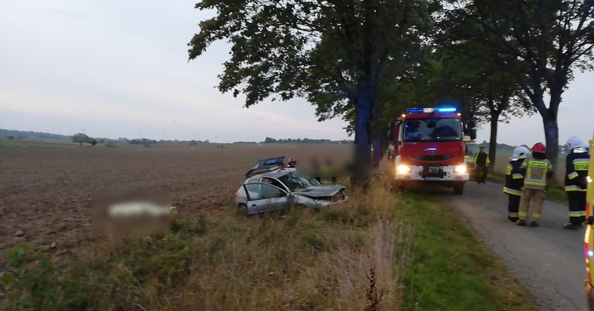 Śmiertelny wypadek między Starkowem a Zaleskimi. Nie żyje...