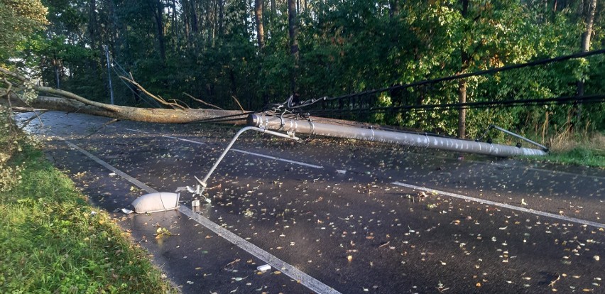 Wypadek w Dzbeninie. 4.10.2020. Pijana kobieta wjechała w powalone wskutek nawałnicy drzewo. Zdjęcia