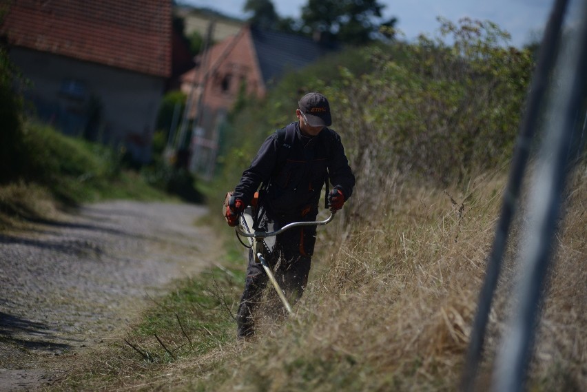 W sezonie prac ogrodowych i przycinania trawy w ogrodach,...