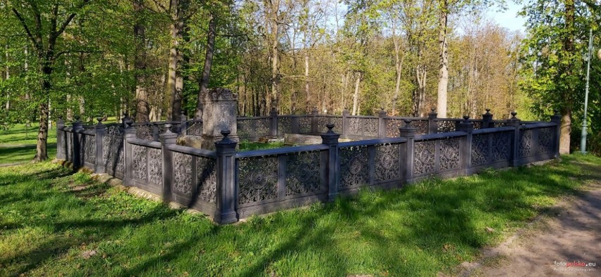 Cmentarz rodziny Dehnów.