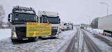 Ponad setka ciężarówek przejedzie przez Szczecin. To protest przewoźników