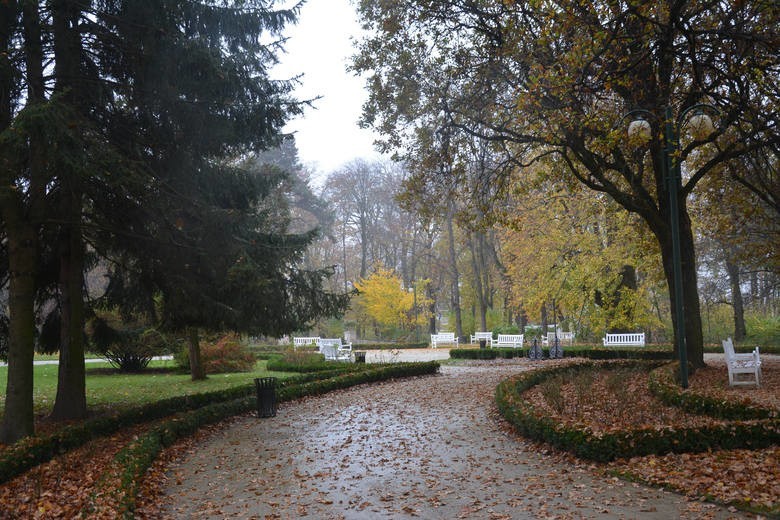 Ogród Saski w Lublinie to prawdziwa oaza spokoju w centrum...