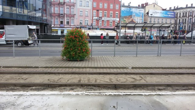 Na przystanku tramwajowym pod dworcem PKP w centrum Sosnowca pojawiły się nowe kwietniki