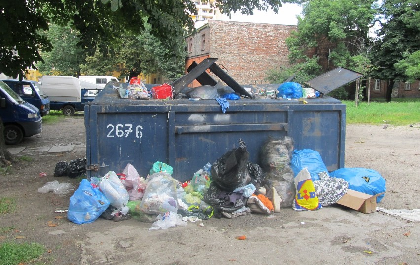 Ekosystem posprzątał śmieci. Ale tylko na pokaz [ZDJĘCIA]