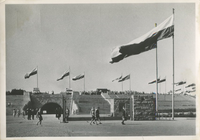 STADION ŚLĄSKI w obiektywie | Wyniki głosowania