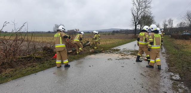 Druhowie z Ochotniczej Straży Pożarnej w Baćkowicach w powiecie opatowskim podczas usuwania drzewa, które wiatr powalił na drogę gminną Piórków-Wszachów.