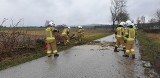 Świętokrzyscy strażacy walczą ze skutkami silnego wiatru