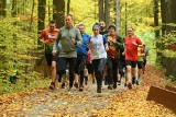 Parkrun Żary. Uczestnicy 403. żarskiego parkrunu biegali po przepięknym, jesiennym lesie