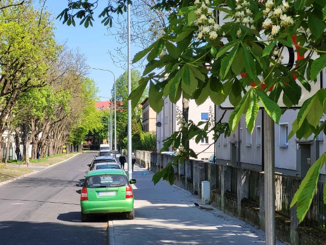Ulica Rybacka w Słupsku - jeden ze znaków zasłoniętych przez gałęzie.
