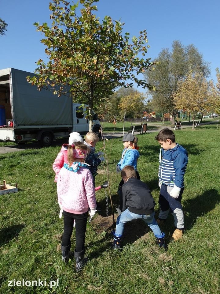 Półdziki skwer w Zielonkach pod lupą najmłodszych odkrywców przyrody