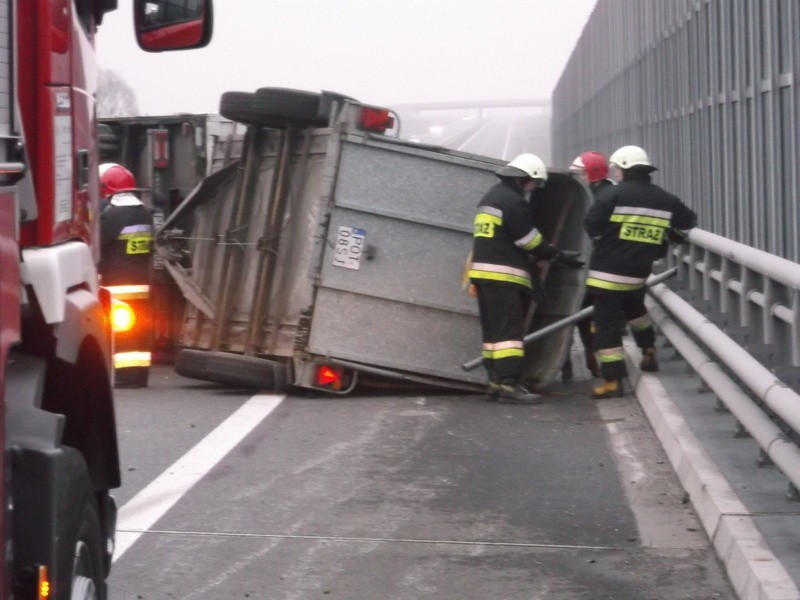 Wypadek na S8. Wywróciła się ciężarówka wioząca byki. Droga była zablokowana (ZDJĘCIA)