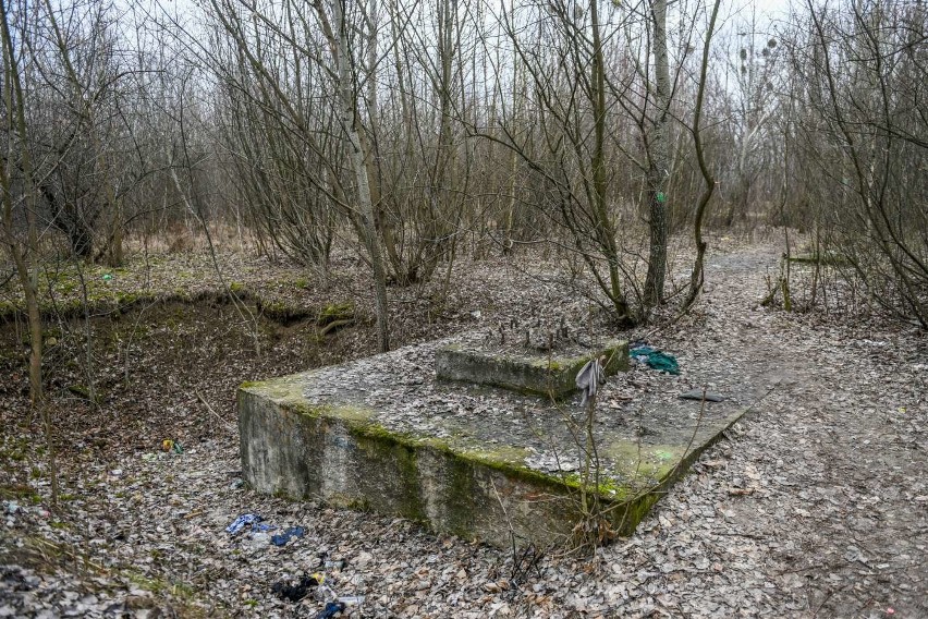 Dla jednych to ogród marzeń, dzika przyroda pełna ptaków i...