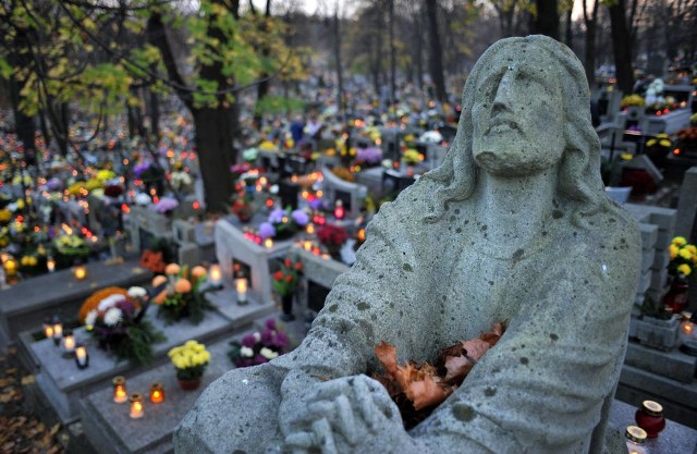 Stary Cmentarz Podgórski to najstarsza nekropolia Krakowa