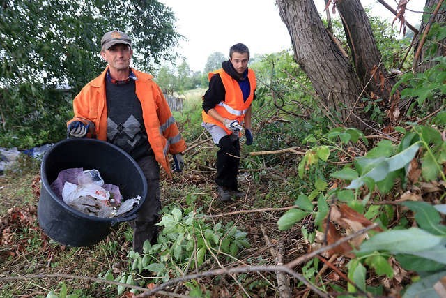 Podzieloną na sektory miejską zieleń sprząta dziewięć wynajętych firm, do głównych obowiązków należy czyszczenie terenu ze śmieci