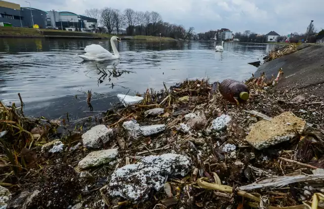 Zniszczone nabrzeże, góry śmieci, taki widok mają spacerujący nad Brdą. Może jakieś wiosenne porządki lub Sprzątanie Świata? Pogoda na dzień (08.03.2017)  | KUJAWSKO-POMORSKIEźródło: TVN Meteo