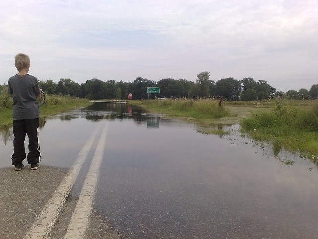 Odra zalała drogę w Milsku