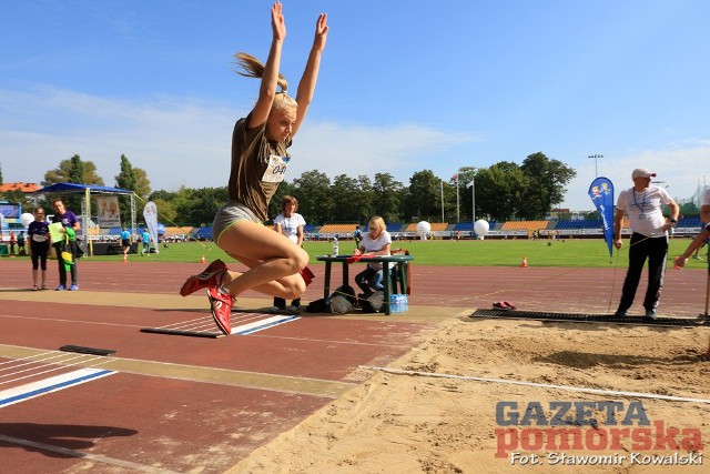 Finał Netle Cup w Toruniu