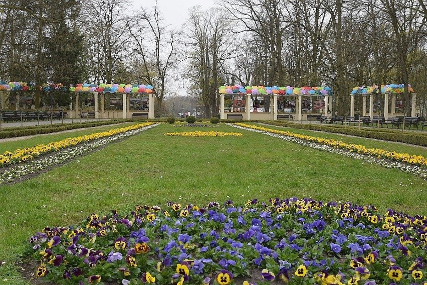 Inowrocław. Pergola w Parku Solankowym zwraca uwagę kolorowymi parasolkami i wystawą zdjęć różnych zakątków miasta [zdjęcia]