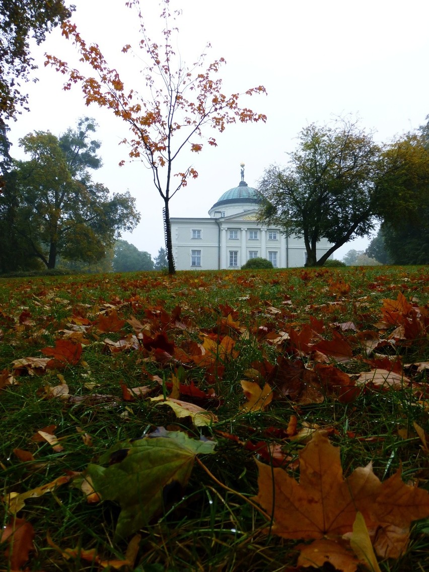 Zabytkowy kompleks pałacowo-parkowy w jesiennych barwach