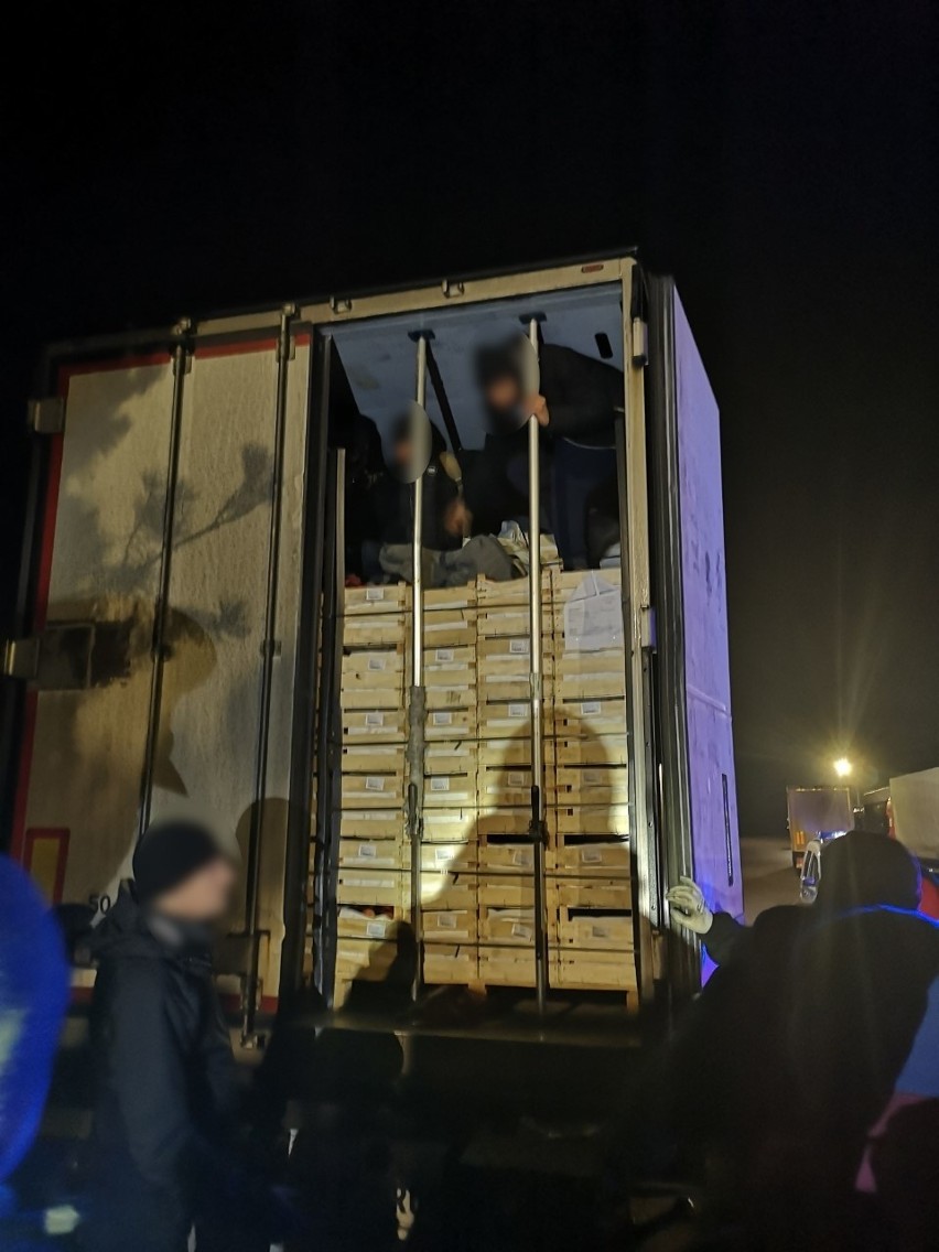 Nielegalni migranci ukrywali się w ciężarówce przewożącej owoce. Kierowcę zaniepokoiły dziwne odgłosy