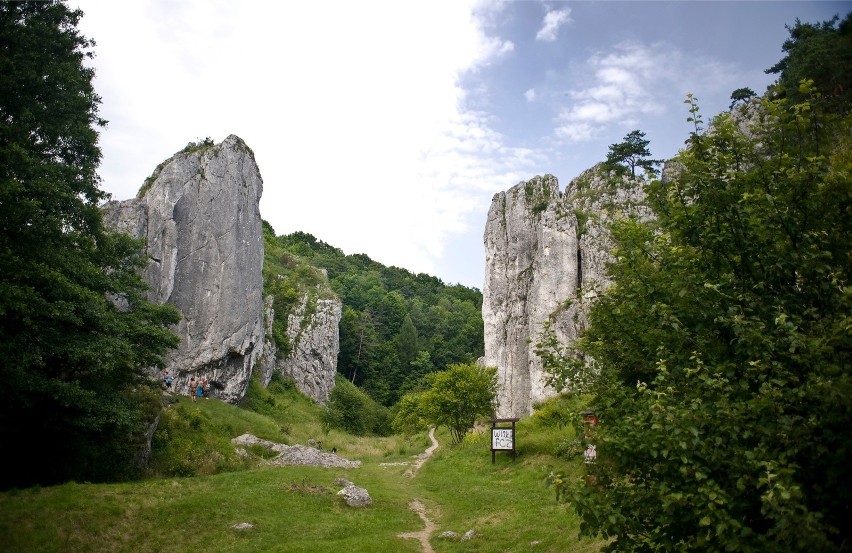 Jura Krakowsko-Częstochowska, EnoTarnowskie, Łódź i Poznań...