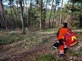 Nieszczęśliwy wypadek w lesie w Jasienicy Sufczyńskiej w powiecie przemyskim. Ciągnik przygniótł mężczyznę [ZDJĘCIA]