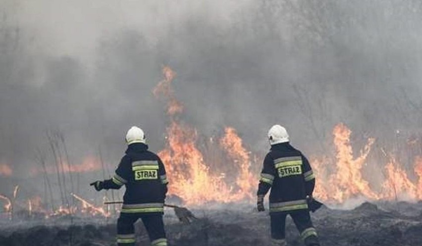 Kilkanaście zastępów straży pożarnej gasi pożar ponad 20...