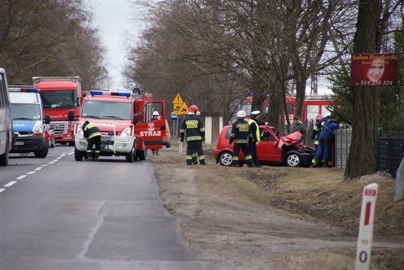 Do wypadku doszło dziś rano około godziny 8.00 na trasie...