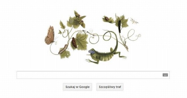 Dziś 336 urodzin Marii Sybilla Merian. Z tego powodu Google dało Doodle.