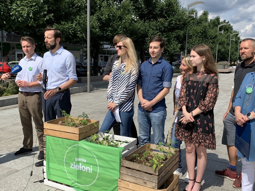 Szczecin. Zieloni wychodzą w miasto i prezentują swój program