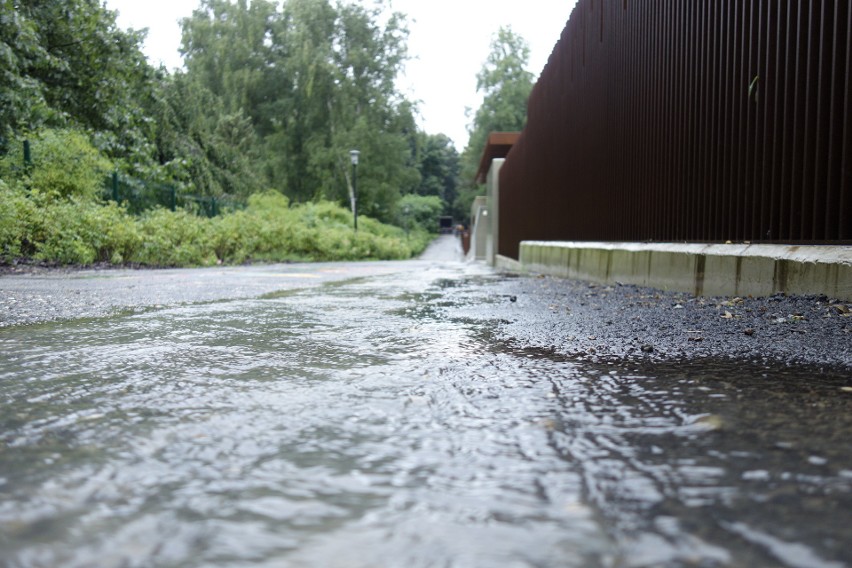Ogród japoński w Parku Ślaskim został całkowicie zalany w...