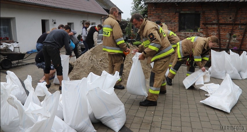 Działania strażaków w Karczowie pod Opolem