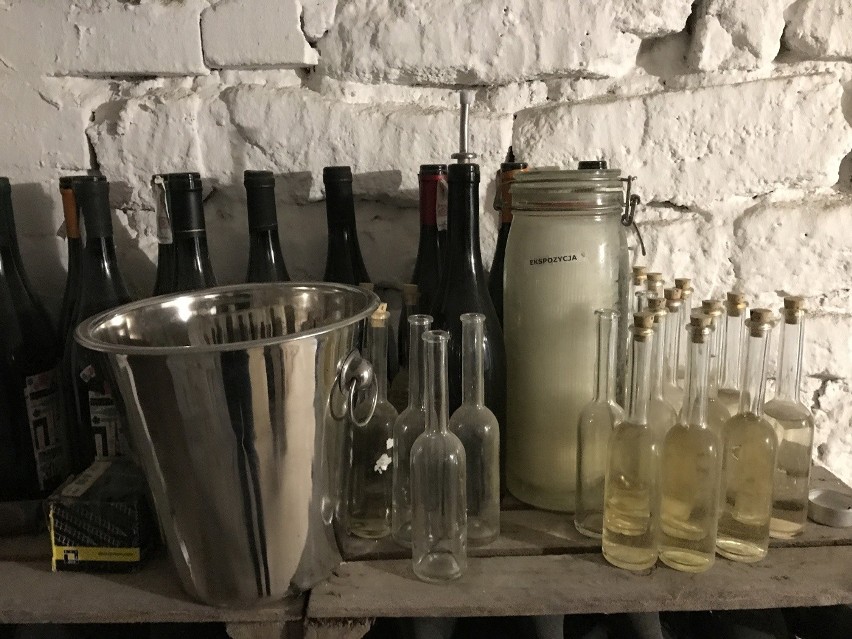 Święto Młodego Wina 2019 w Sandomierzu. Winnica Kędrów podczas dnia otwartego: "Jeśli wino smakuje, to idziemy w dobrą stronę" [ZDJĘCIA]