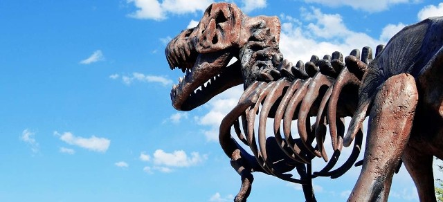 Góra Chełmska: pojawią się tu dinozaury?