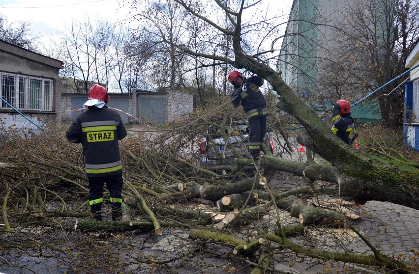 13.04.2015 lodz porwisty wiatr polamal drzewa  na ulicy...