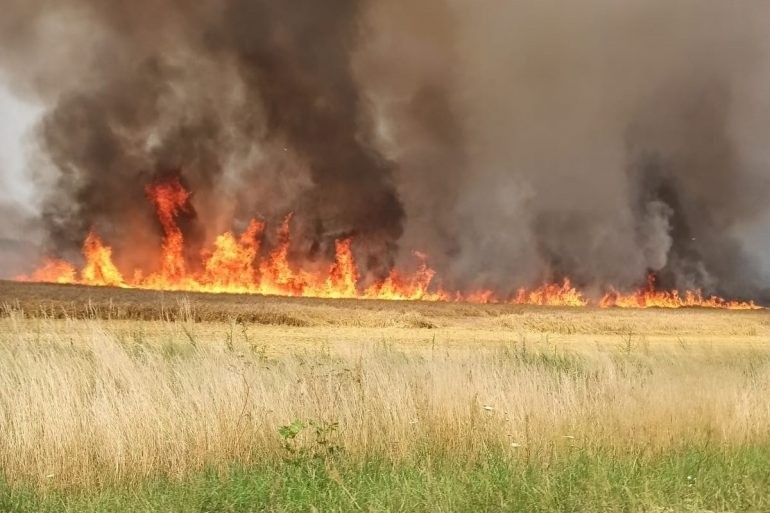 Wielki pożar zboża w powiecie włodawskim. Straty sięgają 35 tys. zł