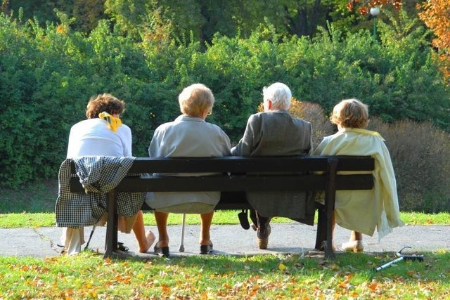 Po zapowiedziach partii rządzącej dotyczących zwolnień z podatku zaczęły się przeliczenia, kto na tym zyska. Jak się okazuje wśród grup, które na tym skorzystają między innymi emeryci. Ich świadczenia mogą wzrosnąć. Podwyższenie kwoty wolnej od podatku do 30 tys. oznacza, że zwolnione od podatku będą emerytury do 2,5 tys. brutto. Wielu emerytów zyska więc w skali sporo pieniędzy. My sprawdzamy, jakie to będą korzyści, ile pieniędzy więcej trafi na konta seniorów. Trzeba pamiętać też, że kwoty emerytur zwiększą się jeszcze bardziej od marca 2022, gdy dojdzie do kolejnej waloryzacji. Zobaczcie, ile jeszcze emeryci zyskają od marca 2022, gdy wprowadzony zostanie największy lub najmniejszy proponowany procentowy wskaźnik waloryzacji. Szczegółowe wyliczenia znajdą Państwo na kolejnych slajdach.