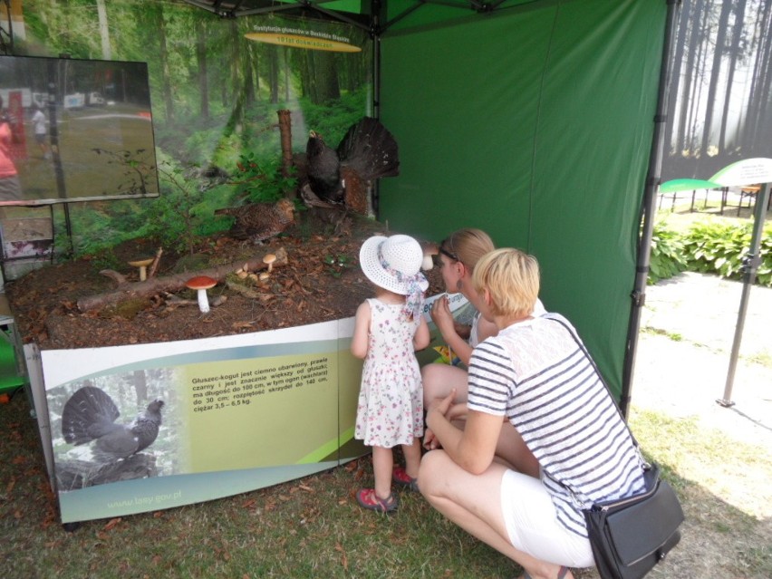 Leśny Piknik Rodzinny Ekoodpowiedzialnie 2015 w Katowicach