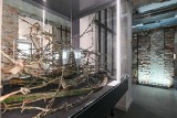 Muzeum Palace w Zakopanem już z ekspozycją. Pierwsi zwiedzający pamiętają dawne czasy "katowni Podhala"