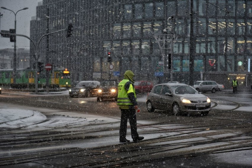 Śnieżyca w Poznaniu. Zasypało całe miasto