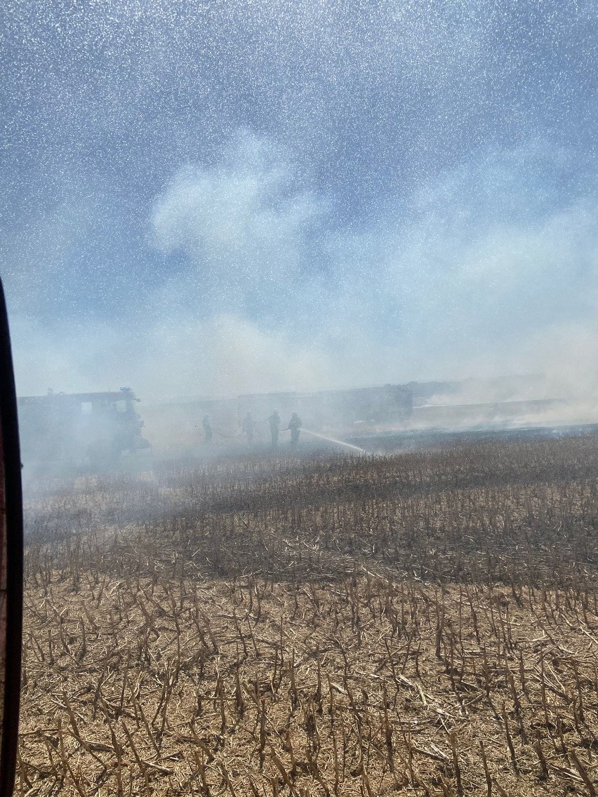 Groźny pożar ścierniska i zboża gminie Łambinowice. Strażacy gasili go z powietrza