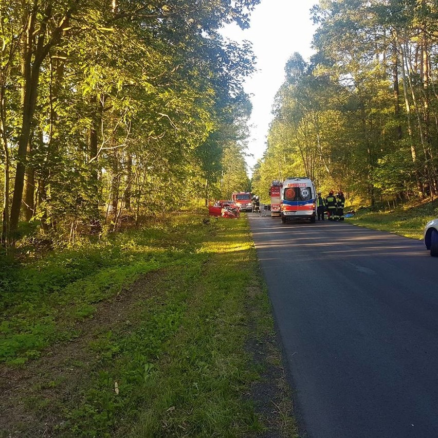 Wypadek pod Bydgoszczą. Trzy osoby ranne [ZDJĘCIA]