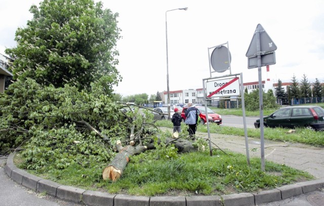 Wtorkowa wycinka drzew pod ring na ulicy Koszalińskiej.  