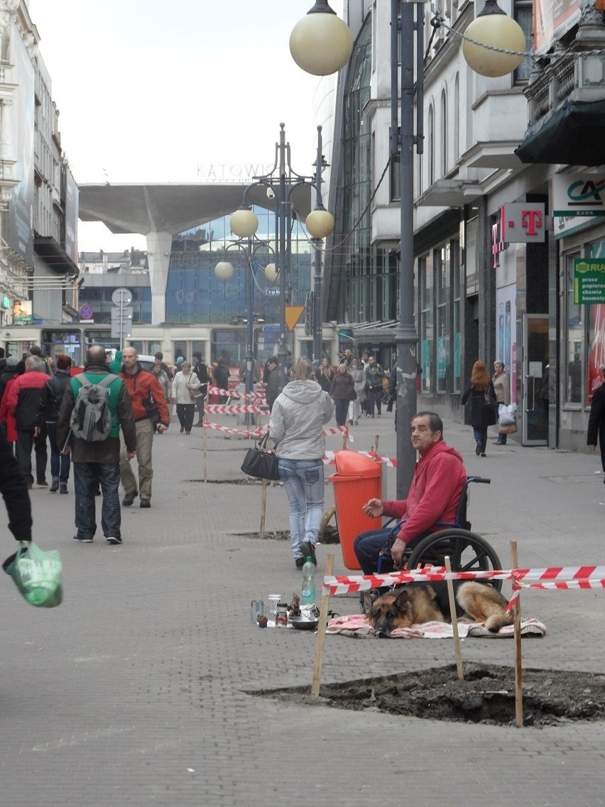 Usunięto drzewa z ulicy Stawowej w Katowicach