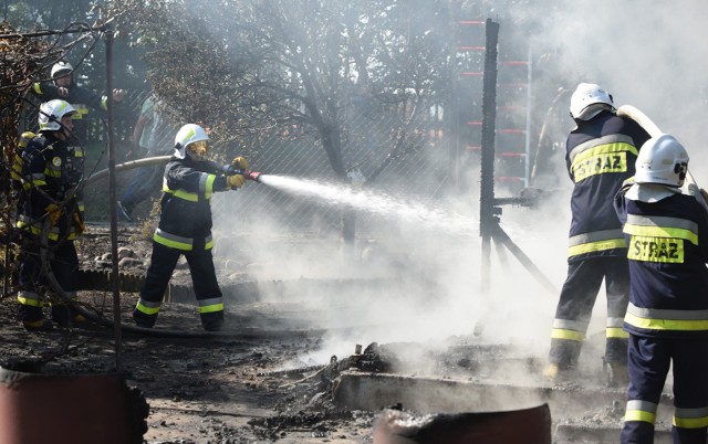 19.09.2016 lodz ul. sw. teresy pozar ogrodki dzialkowe, doszczetnie splonela drewniana altana dzialkowa pozar gasily cztery jednostki strazy pozarnej z osp mikolajew w sklad dryzyny stazakow wchodzily dwie kobiety ochotniczki stazaczkinz. fot. pawel lacheta/ express ilustrowany/ polska press